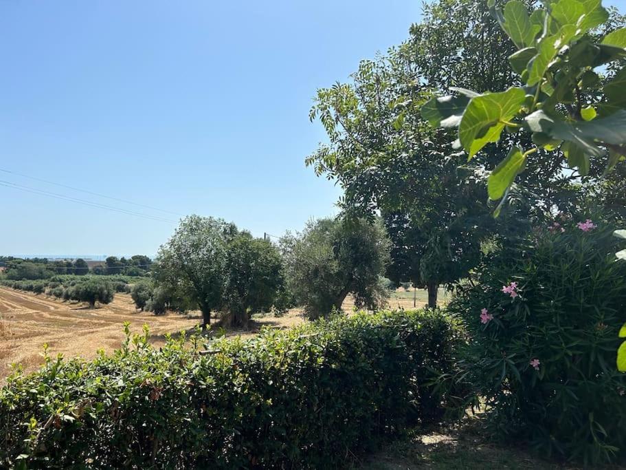 La Capparuccia Apartment Civitanova Marche Luaran gambar