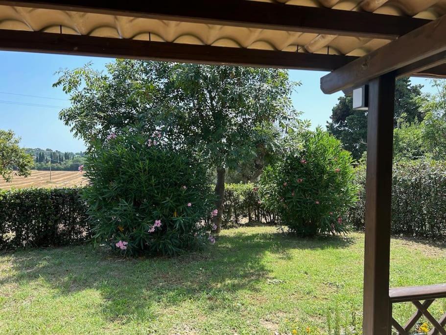 La Capparuccia Apartment Civitanova Marche Luaran gambar